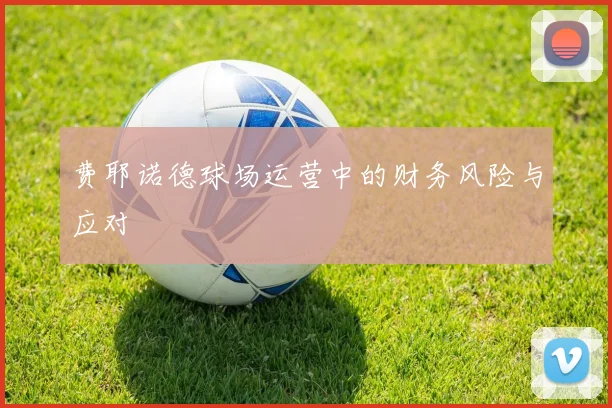 费耶诺德球场运营中的财务风险与应对