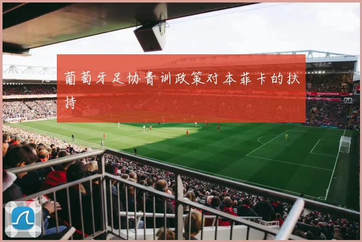 葡萄牙足协青训政策对本菲卡的扶持