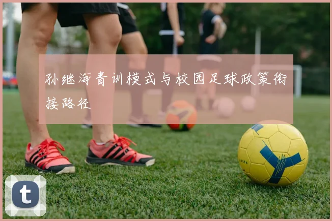 孙继海青训模式与校园足球政策衔接路径