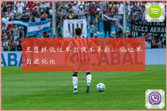 王哲林低位单打技术革新：低位单打进化论