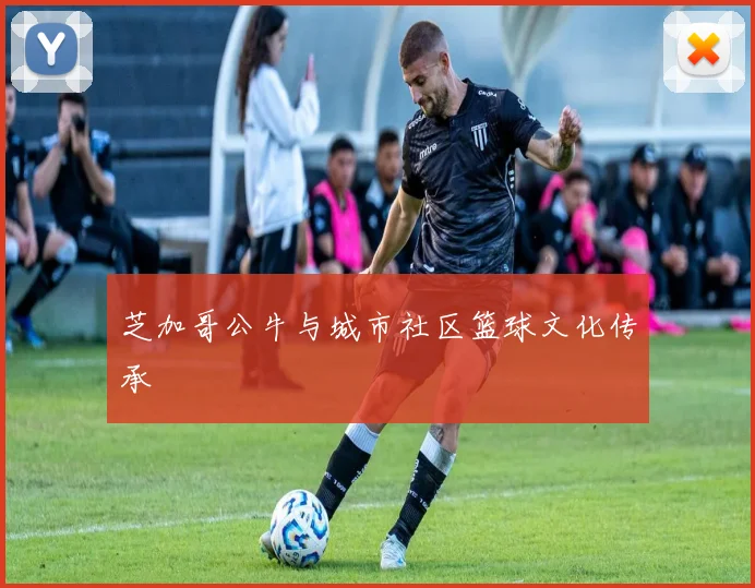 芝加哥公牛与城市社区篮球文化传承